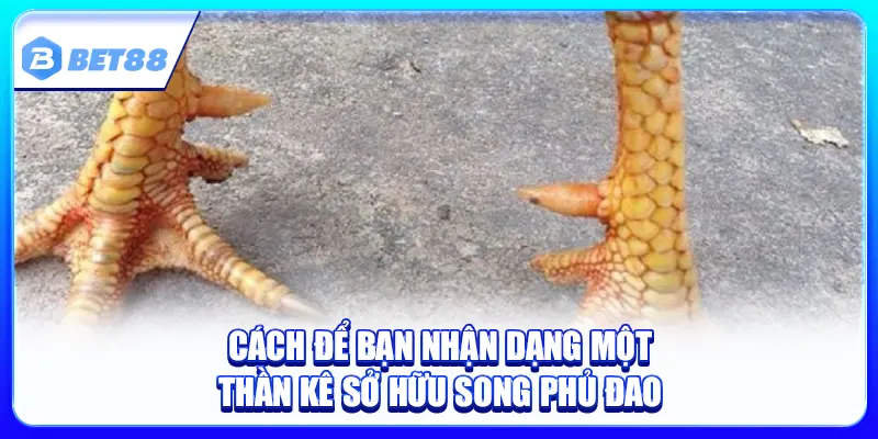 Vảy Song Phủ Đao